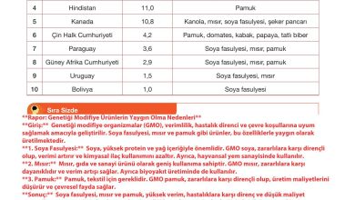 10. Sınıf Meb Yayınları Sürdürülebilir Tarım Ve Gıda Güvenliği Ders Kitabı Sayfa 124 Cevapları