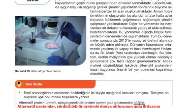 10. Sınıf Meb Yayınları Sürdürülebilir Tarım Ve Gıda Güvenliği Ders Kitabı Sayfa 122 Cevapları