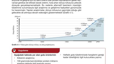 10. Sınıf Meb Yayınları Sürdürülebilir Tarım Ve Gıda Güvenliği Ders Kitabı Sayfa 121 Cevapları