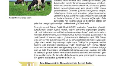 10. Sınıf Meb Yayınları Sürdürülebilir Tarım Ve Gıda Güvenliği Ders Kitabı Sayfa 116 Cevapları