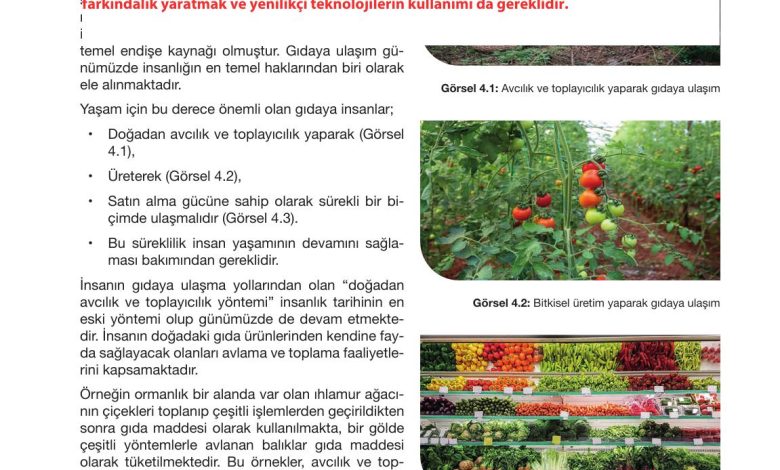 10. Sınıf Meb Yayınları Sürdürülebilir Tarım Ve Gıda Güvenliği Ders Kitabı Sayfa 115 Cevapları