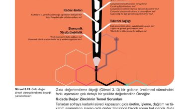 10. Sınıf Meb Yayınları Sürdürülebilir Tarım Ve Gıda Güvenliği Ders Kitabı Sayfa 104 Cevapları