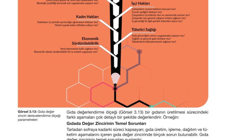 10. Sınıf Meb Yayınları Sürdürülebilir Tarım Ve Gıda Güvenliği Ders Kitabı Sayfa 104 Cevapları