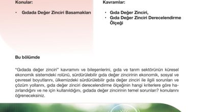 10. Sınıf Meb Yayınları Sürdürülebilir Tarım Ve Gıda Güvenliği Ders Kitabı Sayfa 100 Cevapları