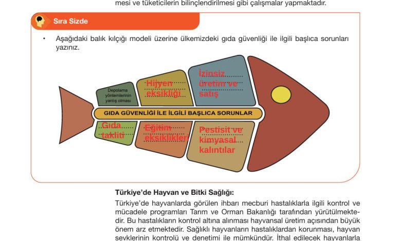 10. Sınıf Meb Yayınları Sürdürülebilir Tarım Ve Gıda Güvenliği Ders Kitabı Sayfa 98 Cevapları