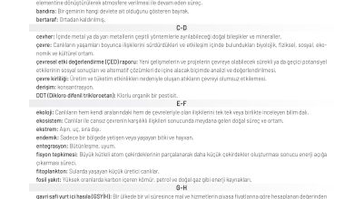 11. Sınıf Meb Yayınları İklim Çevre Ve Yenilikçi Çözümler Ders Kitabı Sayfa 205 Cevapları