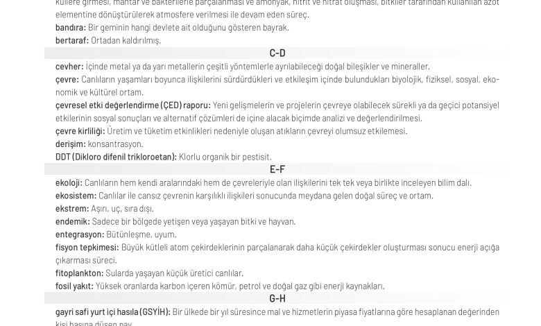 11. Sınıf Meb Yayınları İklim Çevre Ve Yenilikçi Çözümler Ders Kitabı Sayfa 205 Cevapları