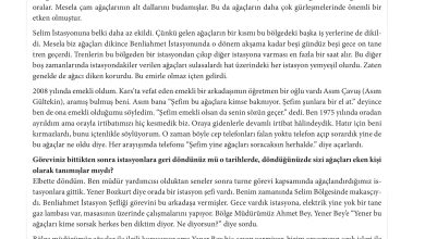 11. Sınıf Meb Yayınları İklim Çevre Ve Yenilikçi Çözümler Ders Kitabı Sayfa 186 Cevapları