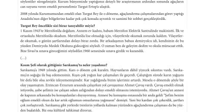 11. Sınıf Meb Yayınları İklim Çevre Ve Yenilikçi Çözümler Ders Kitabı Sayfa 185 Cevapları