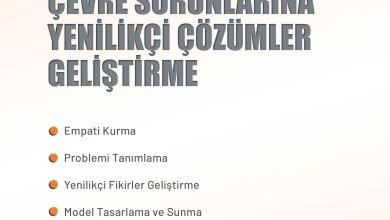 11. Sınıf Meb Yayınları İklim Çevre Ve Yenilikçi Çözümler Ders Kitabı Sayfa 178 Cevapları