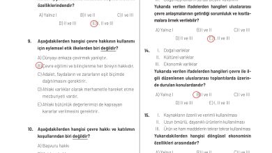 11. Sınıf Meb Yayınları İklim Çevre Ve Yenilikçi Çözümler Ders Kitabı Sayfa 177 Cevapları