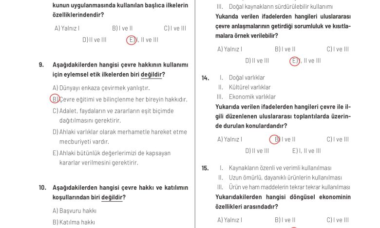 11. Sınıf Meb Yayınları İklim Çevre Ve Yenilikçi Çözümler Ders Kitabı Sayfa 177 Cevapları