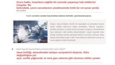 11. Sınıf Meb Yayınları İklim Çevre Ve Yenilikçi Çözümler Ders Kitabı Sayfa 175 Cevapları