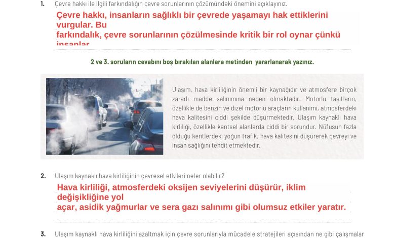 11. Sınıf Meb Yayınları İklim Çevre Ve Yenilikçi Çözümler Ders Kitabı Sayfa 175 Cevapları