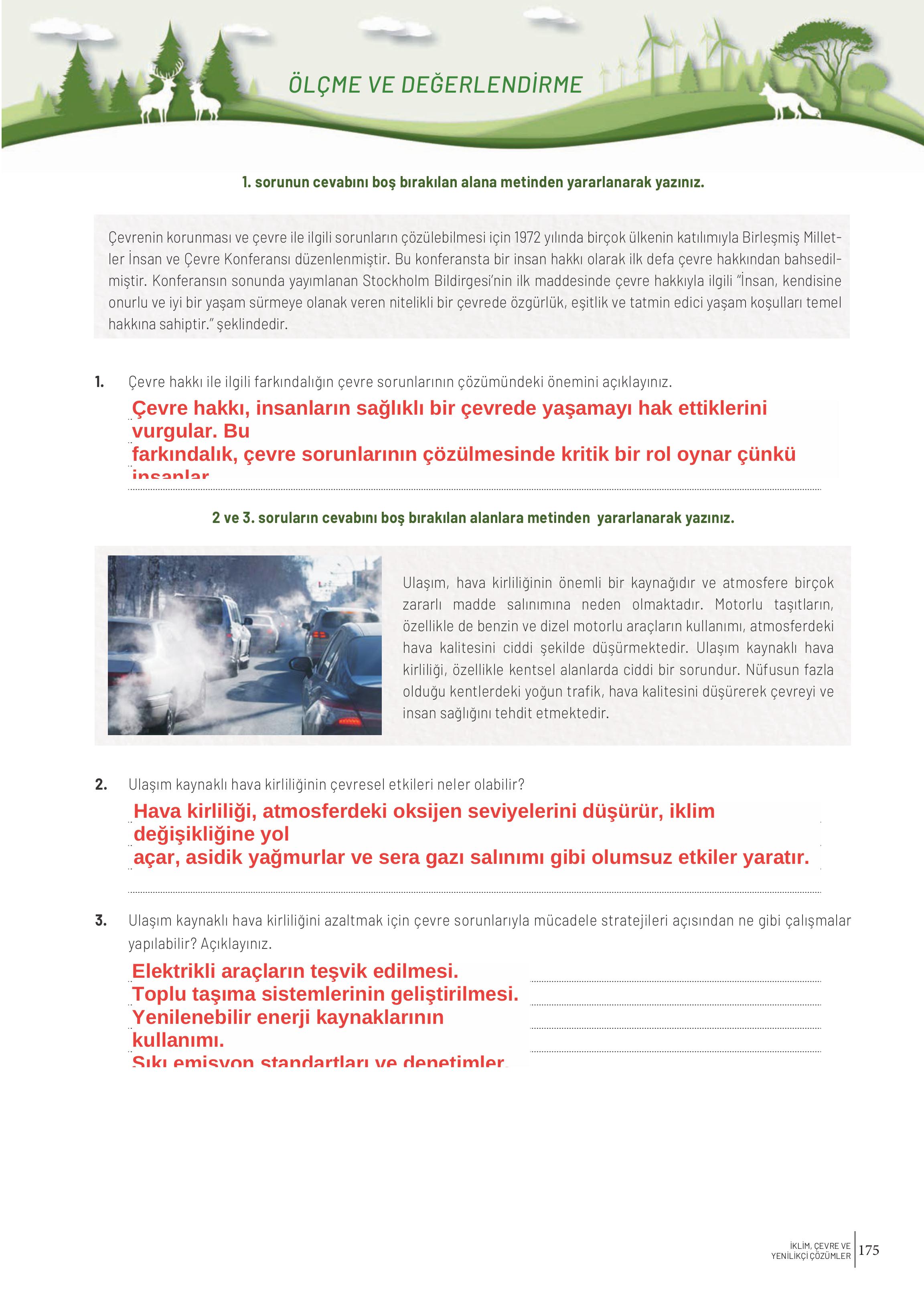 11. Sınıf Meb Yayınları İklim Çevre Ve Yenilikçi Çözümler Ders Kitabı Sayfa 175 Cevapları