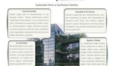 11. Sınıf Meb Yayınları İklim Çevre Ve Yenilikçi Çözümler Ders Kitabı Sayfa 172 Cevapları