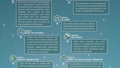 11. Sınıf Meb Yayınları İklim Çevre Ve Yenilikçi Çözümler Ders Kitabı Sayfa 170 Cevapları