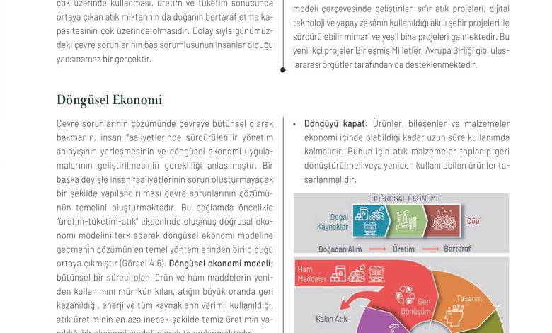 11. Sınıf Meb Yayınları İklim Çevre Ve Yenilikçi Çözümler Ders Kitabı Sayfa 167 Cevapları