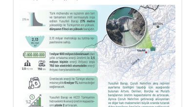 11. Sınıf Meb Yayınları İklim Çevre Ve Yenilikçi Çözümler Ders Kitabı Sayfa 165 Cevapları