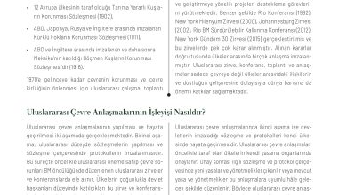 11. Sınıf Meb Yayınları İklim Çevre Ve Yenilikçi Çözümler Ders Kitabı Sayfa 162 Cevapları