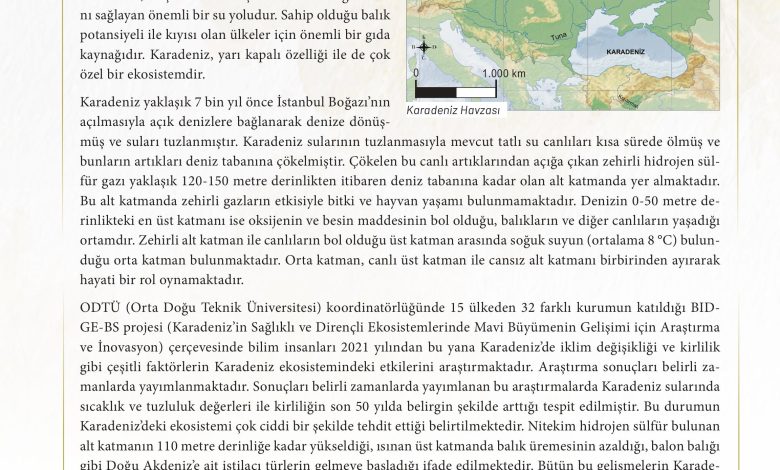 11. Sınıf Meb Yayınları İklim Çevre Ve Yenilikçi Çözümler Ders Kitabı Sayfa 161 Cevapları