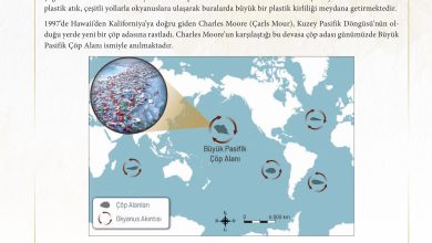 11. Sınıf Meb Yayınları İklim Çevre Ve Yenilikçi Çözümler Ders Kitabı Sayfa 157 Cevapları