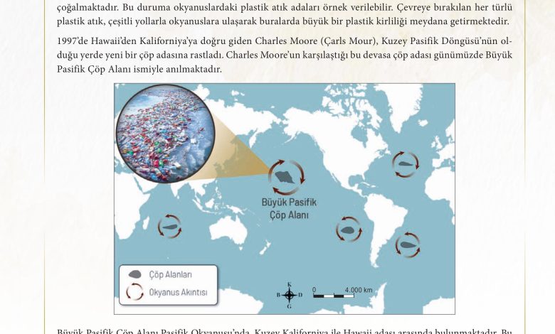 11. Sınıf Meb Yayınları İklim Çevre Ve Yenilikçi Çözümler Ders Kitabı Sayfa 157 Cevapları