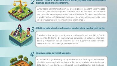 11. Sınıf Meb Yayınları İklim Çevre Ve Yenilikçi Çözümler Ders Kitabı Sayfa 153 Cevapları