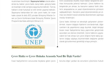 11. Sınıf Meb Yayınları İklim Çevre Ve Yenilikçi Çözümler Ders Kitabı Sayfa 151 Cevapları