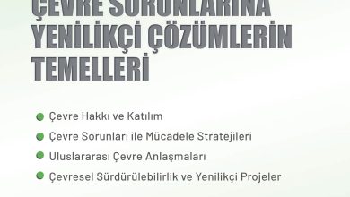 11. Sınıf Meb Yayınları İklim Çevre Ve Yenilikçi Çözümler Ders Kitabı Sayfa 148 Cevapları