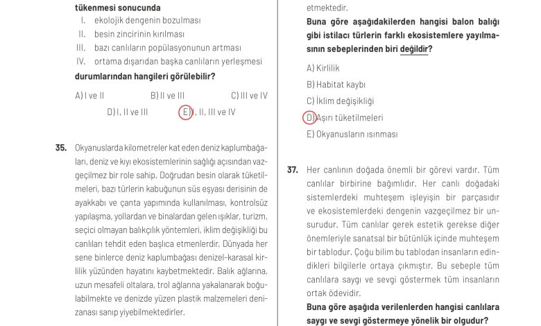 11. Sınıf Meb Yayınları İklim Çevre Ve Yenilikçi Çözümler Ders Kitabı Sayfa 147 Cevapları