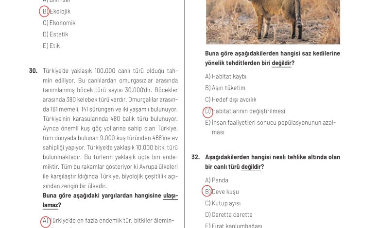 11. Sınıf Meb Yayınları İklim Çevre Ve Yenilikçi Çözümler Ders Kitabı Sayfa 146 Cevapları