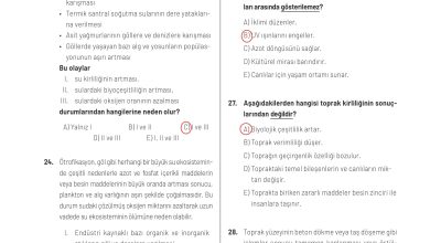 11. Sınıf Meb Yayınları İklim Çevre Ve Yenilikçi Çözümler Ders Kitabı Sayfa 145 Cevapları