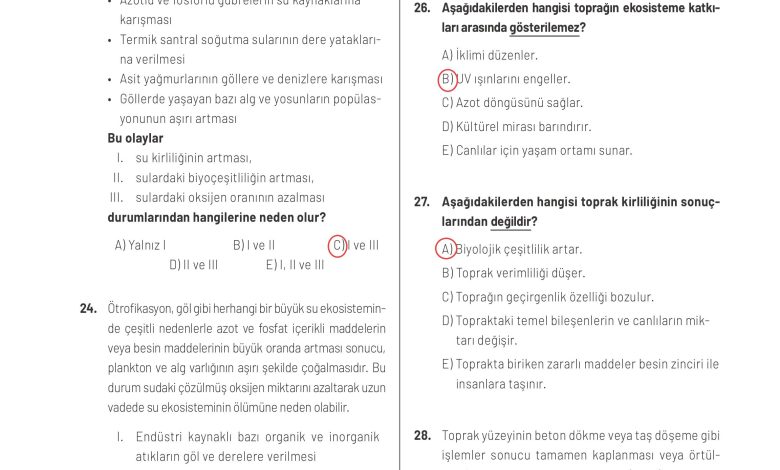 11. Sınıf Meb Yayınları İklim Çevre Ve Yenilikçi Çözümler Ders Kitabı Sayfa 145 Cevapları