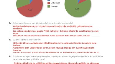 11. Sınıf Meb Yayınları İklim Çevre Ve Yenilikçi Çözümler Ders Kitabı Sayfa 142 Cevapları