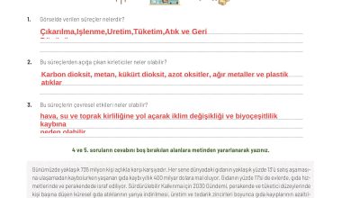 11. Sınıf Meb Yayınları İklim Çevre Ve Yenilikçi Çözümler Ders Kitabı Sayfa 140 Cevapları