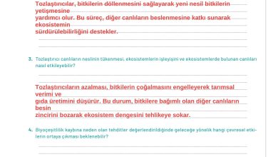 11. Sınıf Meb Yayınları İklim Çevre Ve Yenilikçi Çözümler Ders Kitabı Sayfa 139 Cevapları