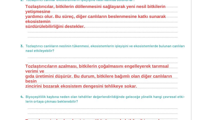 11. Sınıf Meb Yayınları İklim Çevre Ve Yenilikçi Çözümler Ders Kitabı Sayfa 139 Cevapları