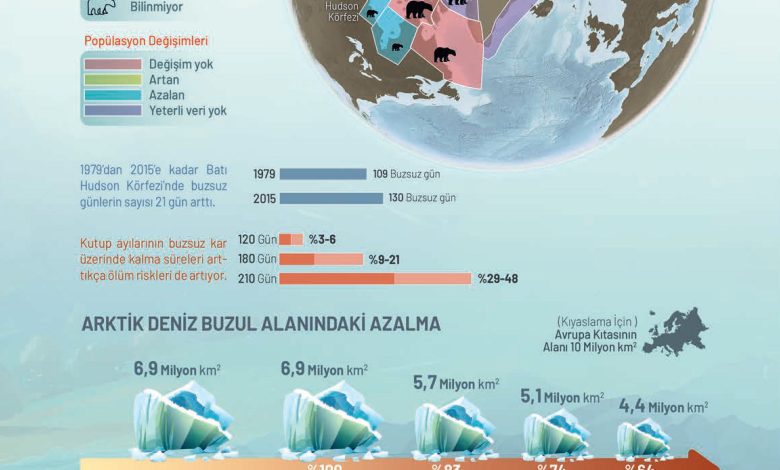 11. Sınıf Meb Yayınları İklim Çevre Ve Yenilikçi Çözümler Ders Kitabı Sayfa 135 Cevapları