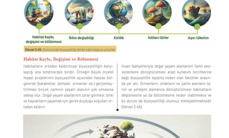 11. Sınıf Meb Yayınları İklim Çevre Ve Yenilikçi Çözümler Ders Kitabı Sayfa 129 Cevapları