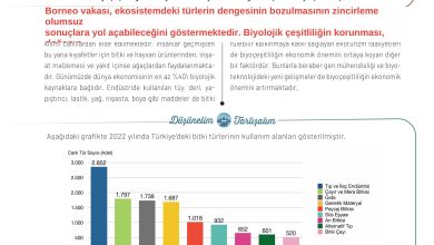 11. Sınıf Meb Yayınları İklim Çevre Ve Yenilikçi Çözümler Ders Kitabı Sayfa 127 Cevapları