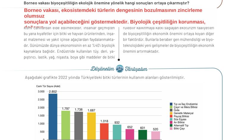 11. Sınıf Meb Yayınları İklim Çevre Ve Yenilikçi Çözümler Ders Kitabı Sayfa 127 Cevapları