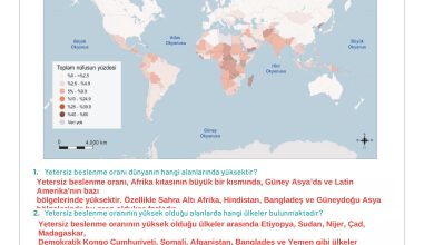 11. Sınıf Meb Yayınları İklim Çevre Ve Yenilikçi Çözümler Ders Kitabı Sayfa 122 Cevapları