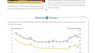 11. Sınıf Meb Yayınları İklim Çevre Ve Yenilikçi Çözümler Ders Kitabı Sayfa 120 Cevapları