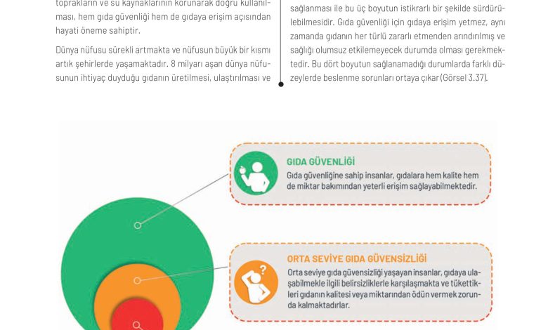 11. Sınıf Meb Yayınları İklim Çevre Ve Yenilikçi Çözümler Ders Kitabı Sayfa 119 Cevapları