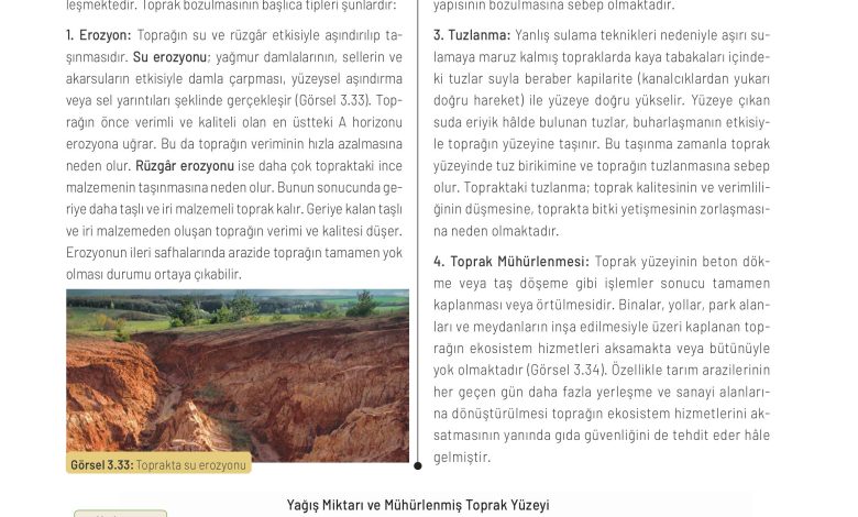 11. Sınıf Meb Yayınları İklim Çevre Ve Yenilikçi Çözümler Ders Kitabı Sayfa 116 Cevapları