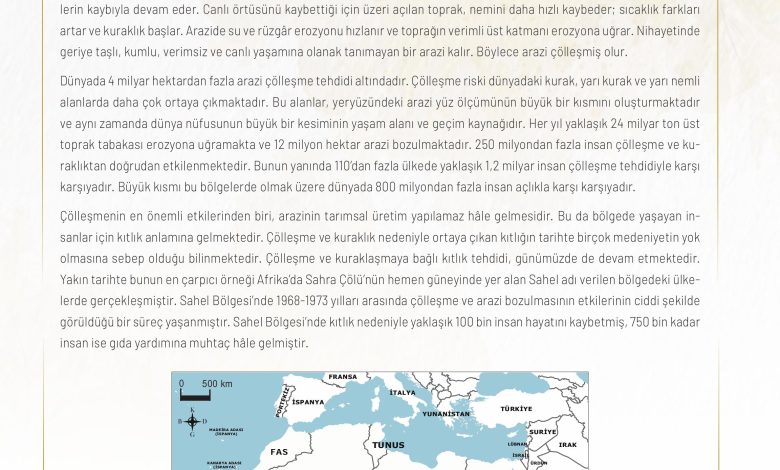 11. Sınıf Meb Yayınları İklim Çevre Ve Yenilikçi Çözümler Ders Kitabı Sayfa 114 Cevapları