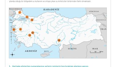 11. Sınıf Meb Yayınları İklim Çevre Ve Yenilikçi Çözümler Ders Kitabı Sayfa 112 Cevapları