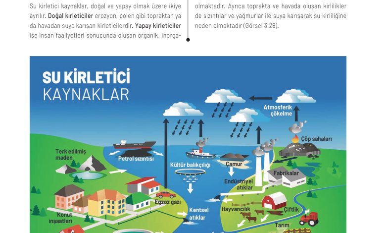 11. Sınıf Meb Yayınları İklim Çevre Ve Yenilikçi Çözümler Ders Kitabı Sayfa 110 Cevapları