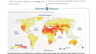 11. Sınıf Meb Yayınları İklim Çevre Ve Yenilikçi Çözümler Ders Kitabı Sayfa 108 Cevapları